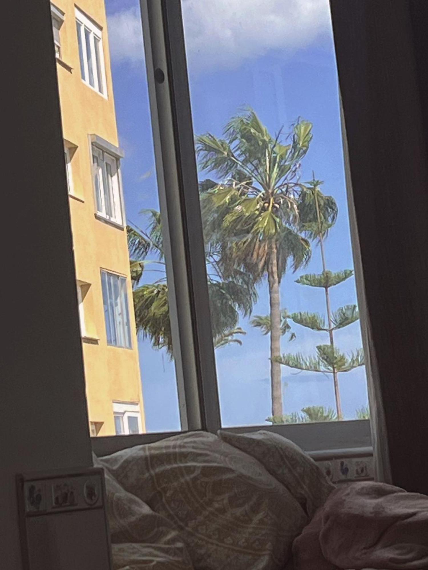 La Casa Catharina Daire Málaga Dış mekan fotoğraf